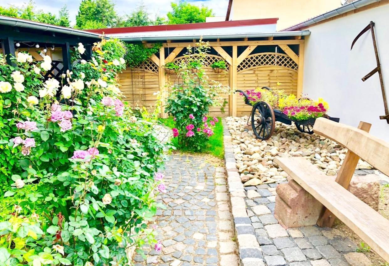 Ferienwohnungen Grimma 3 Exterior foto